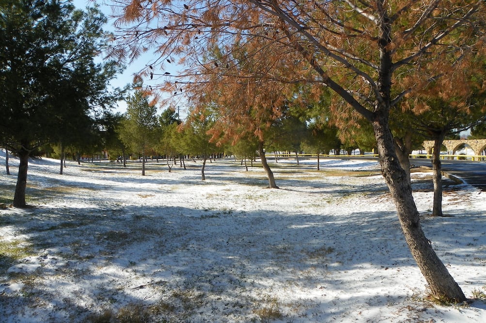 Foto: Archivo/ EL UNIVERSAL