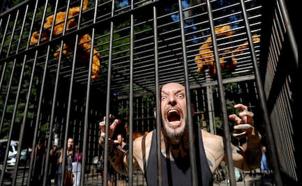 Exponen el confinamiento eterno que los animales sufren al ser exhibidos en un zoológico