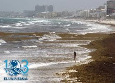 Construye Marina barcos recolectores de sargazo