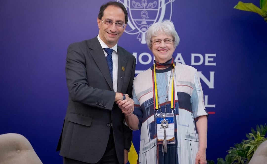 La subsecretaria para América Latina y el Caribe de la Secretaría de Relaciones Exteriores (SRE), Raquel Serur Smeke, y el vicepresidente electo de Colombia, José Manuel Restrepo. Foto: X @SRE_mx