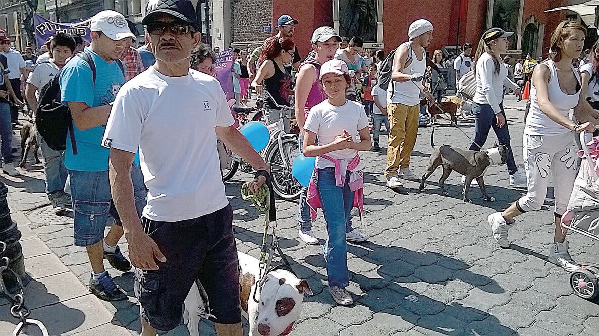 Los propietarios de perros considerados peligrosos, aseguran que todo depe n de de la educación que se les dé a estos animales de compañía