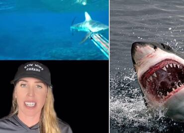 ¿Cómo se debería actuar ante un encuentro con tiburón, según una buzo experta?