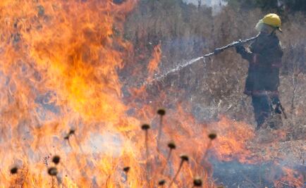 Trabajamos intensamente para combatir incendios en Edoméx, dice Del Mazo