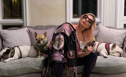 Tras liberarlo por error, ofrecen recompensa por el atacante del paseador de perros de Lady Gaga