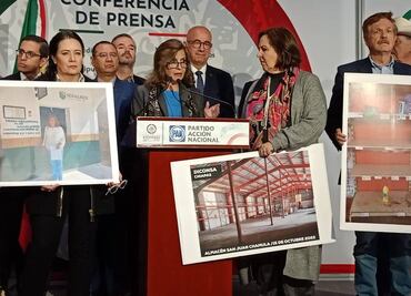 Desfalco a Segalmex es por 20 mil mdp, no por 9 mil 500 mdp, señala diputada María Elena Pérez-Jaén