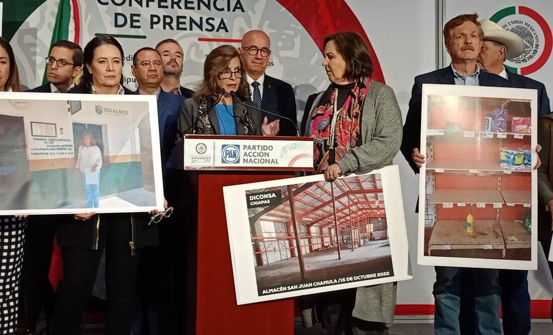 La diputada María Elena Pérez-Jaén Zermeño (PAN) denunció que el desfalco a Seguridad Alimentaria Mexicana (Segalmex) es por 20 mil millones de pesos / Foto: Especial