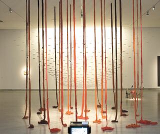 Desaparición y poesía, Cecilia Vicuña en el MUAC