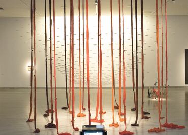 Desaparición y poesía, Cecilia Vicuña en el MUAC