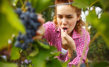 La tentadora fruta que regula la flora intestinal y mejora el ánimo, según expertos en nutrición