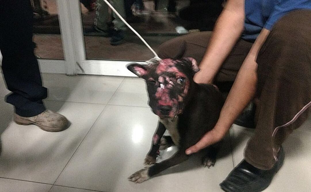 Foto: Archivo / EL UNIVERSAL