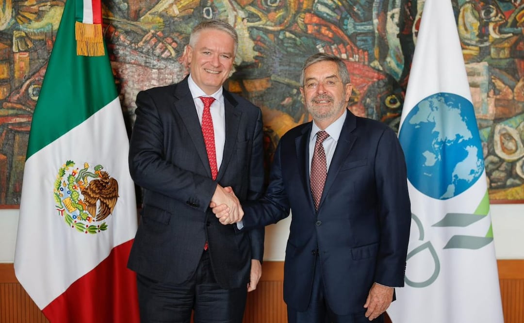 Juan Ramón de la Fuente recibió a Mathias Cormann, secretario de la OCDE. Jueves 26 de febrero de 2026. Foto: SRE