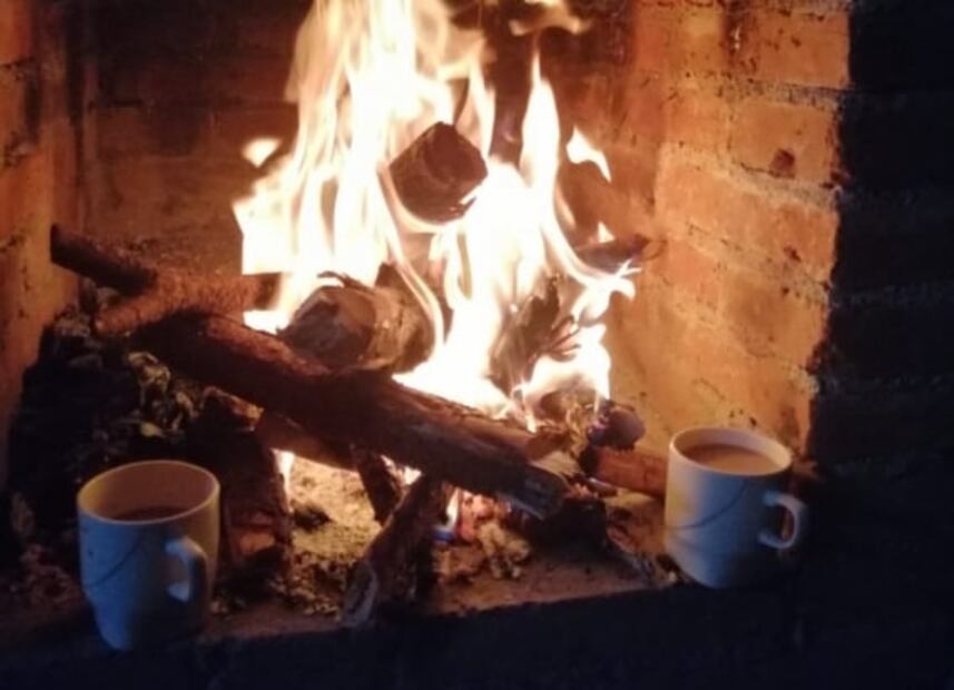 En Oaxaca, lánzate a las cabañas del Bosque de los Duendes y de las Hadas