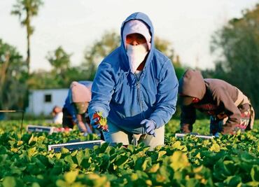 Desplazados Triquis exigen apoyo del estado