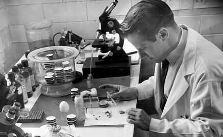 Hallan área clave del cerebro vinculada al párkinson