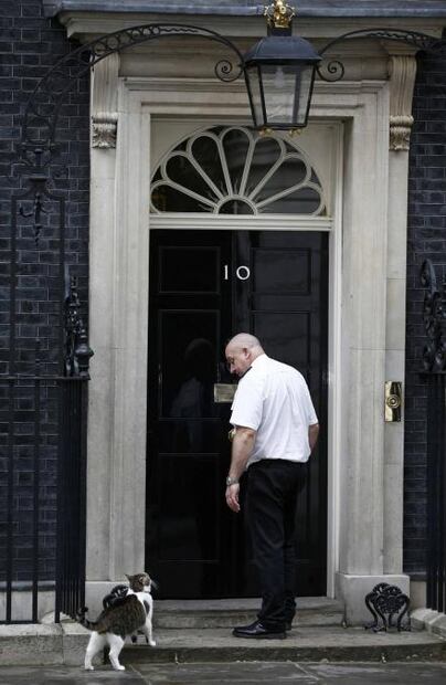 Cameron se va, pero Larry el gato cazaratones se queda