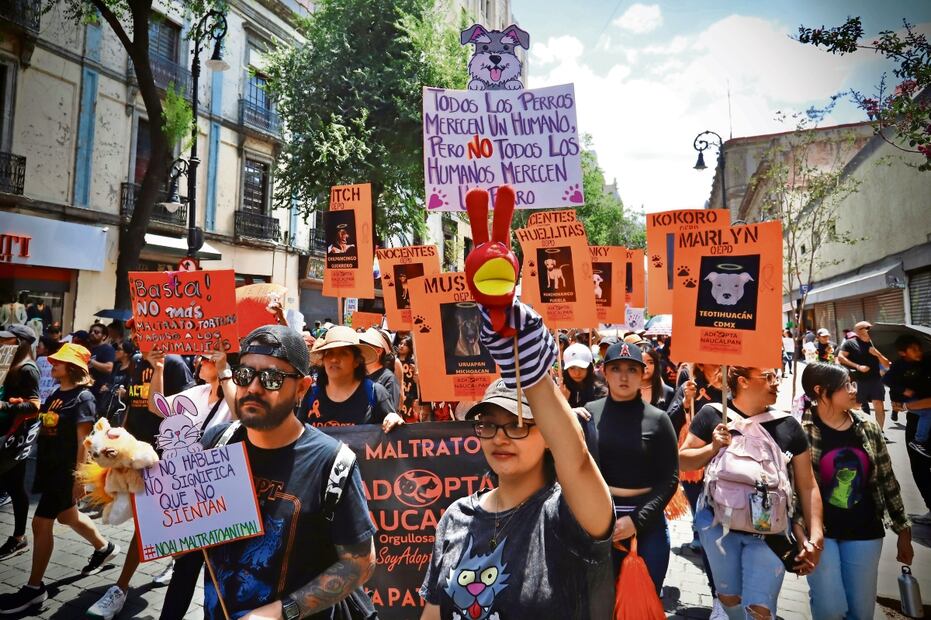 Alzan la voz por las mascotas