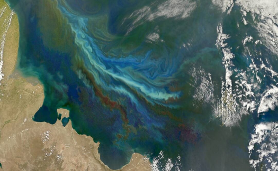 La imagen fue tomada por el satélite Aqua de la NASA y muestra una floración de fitoplancton masiva fuera de la costa atlántica de la Patagonia. (FOTO: NASA)