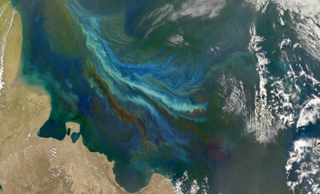 La imagen fue tomada por el satélite Aqua de la NASA y muestra una floración de fitoplancton masiva fuera de la costa atlántica de la Patagonia. (FOTO: NASA)