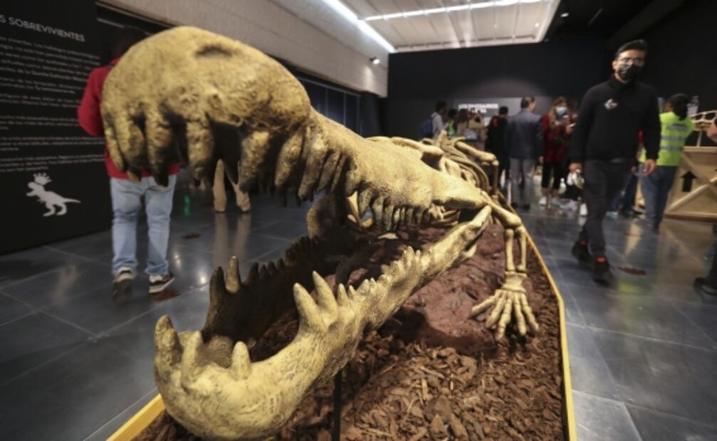 ¡Exposición de altura! Llegan los dinosaurios al Centro Cultural Toluca y esto es lo que debes saber 