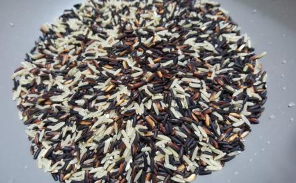 ¿Es bueno comer arroz todos los días?