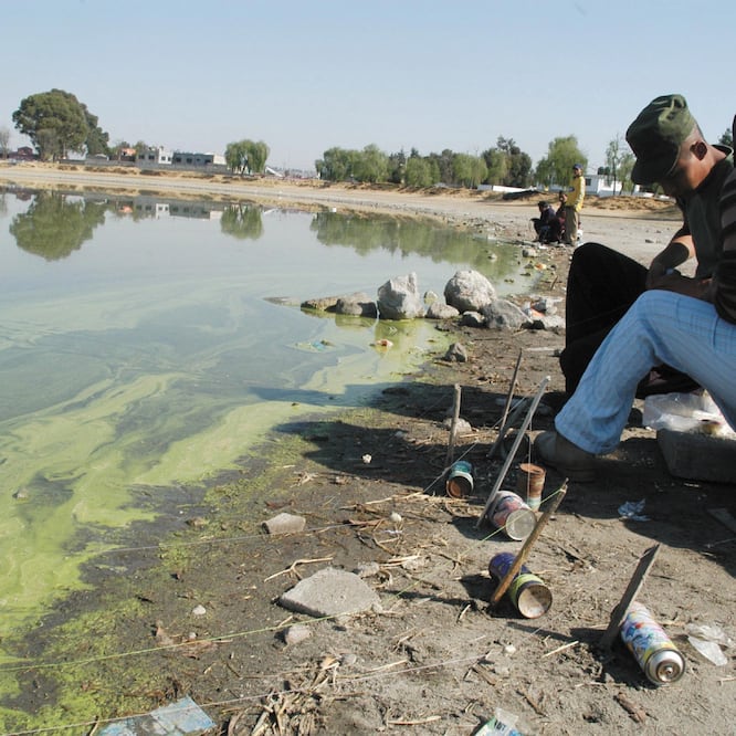 La combinación de bacterias, químicos y plásticos absorben el oxígeno de los suministros de agua, afectando a las personas y los ecosistemas. ARCHIVO EL UNIVERSAL