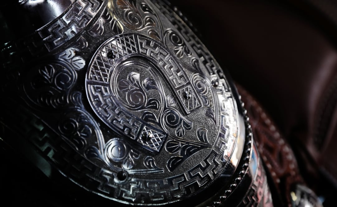 La Organización de Naciones Unidas para la Educación, la Ciencia y la Cultura (Unesco) declaró a la charrería mexicana como Patrimonio Inmaterial de la Humanidad.