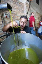 Cambio climático duplica precio del aceite de oliva