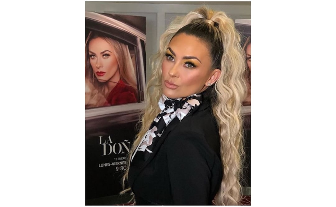 Aracely Arámbula. Foto: Instagram 