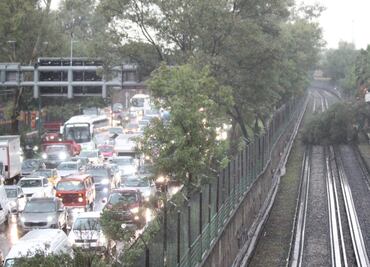 Árbol caído en vías del Metro e inundación en Indios Verdes, las imágenes que dejaron las fuertes lluvias en CDMX