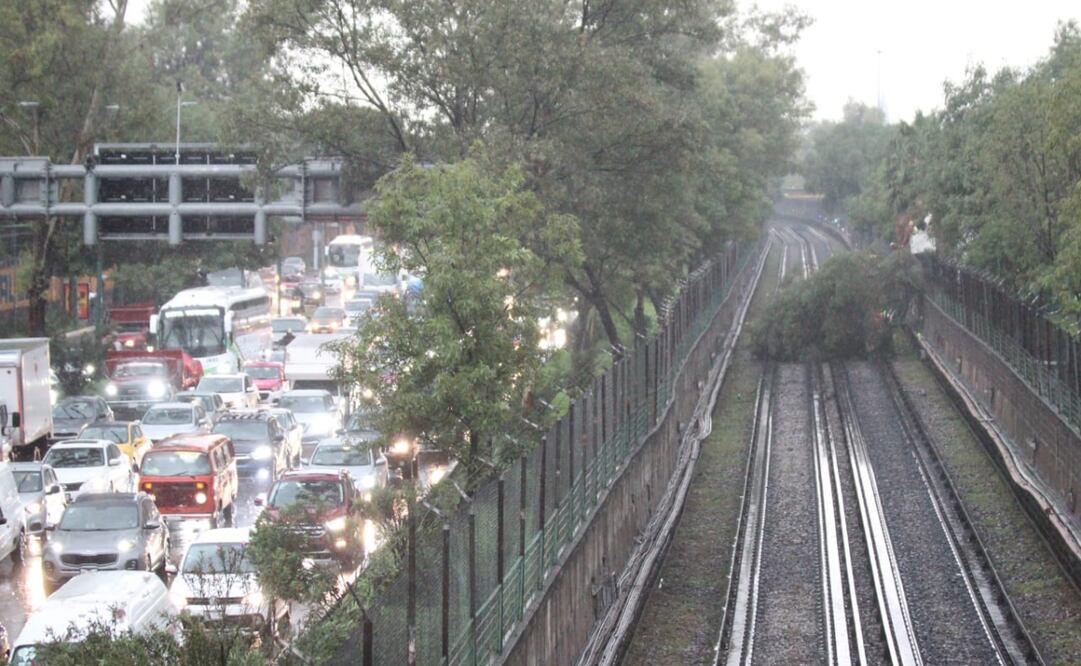 Las fuertes lluvias en la Ciudad de México han ocasionado inundaciones, caídas de árboles y caos vial. Fotos: Francisco Rodríguez