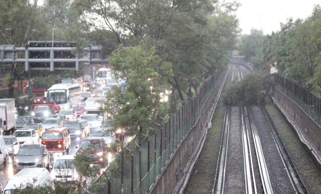 Las fuertes lluvias en la Ciudad de México han ocasionado inundaciones, caídas de árboles y caos vial. Fotos: Francisco Rodríguez