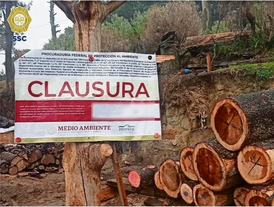 Desmantelan dos aserraderos de tala ilegal en Tlalpan