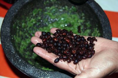 Conoce las formas de comer hormigas chicatanas