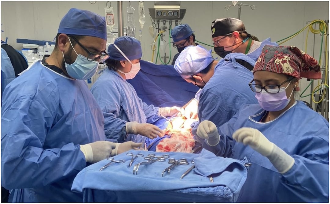 Realizan 3 donaciones de órganos y tejidos en IMSS de Guanajuato que beneficiarán a más de 350 personas del país (4/12/2024). Foto: Procuración de órganos en Guanajuato