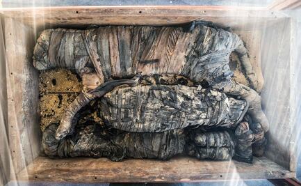 Hallan momias de animales en Egipto