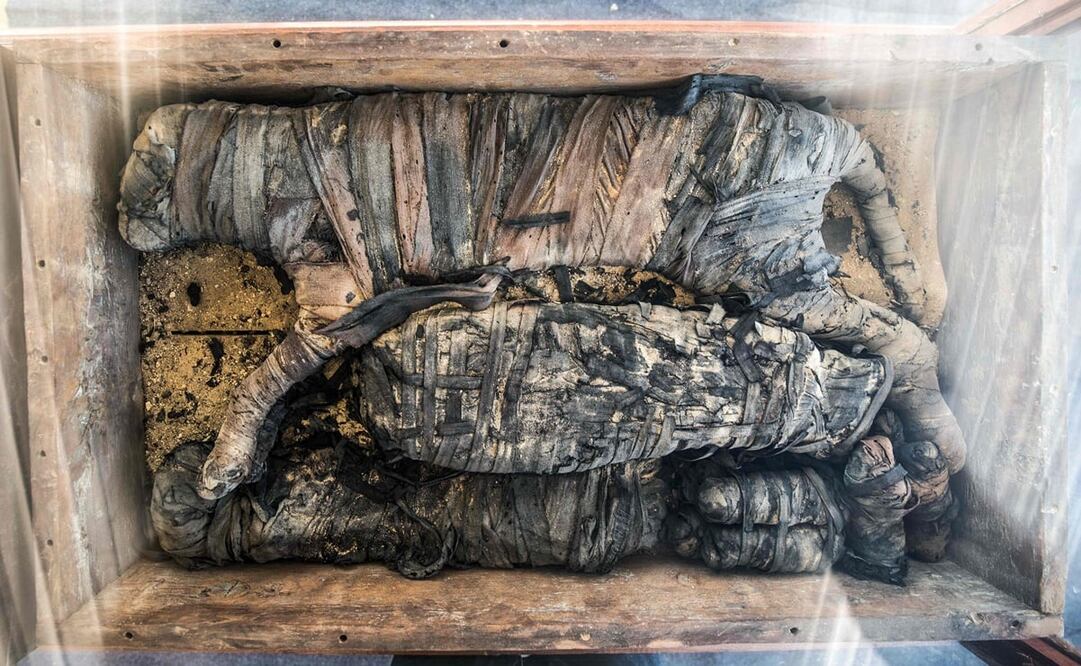 En la zona arqueológica de Saqqara se presentó el descubrimiento. En la imagen, un gato momificado. Foto: Khaled DESOUKI / AFP