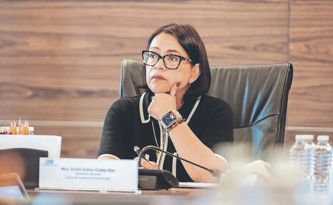 Para la directora General de la Comisión Federal de Electricidad es importante impulsar a las mujeres en ciencia y tecnología. Foto Especial