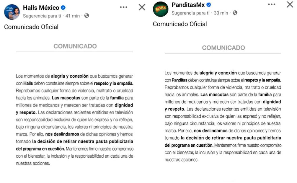 Halls y Panditas dan a conocer su postura sobre las declaraciones del conductor Pedro Sola en "Ventaneando".