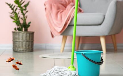 Conoce la receta casera para limpiar el suelo y acabar con las cucarachas