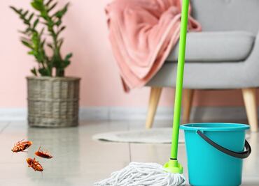 Conoce la receta casera para limpiar el suelo y acabar con las cucarachas