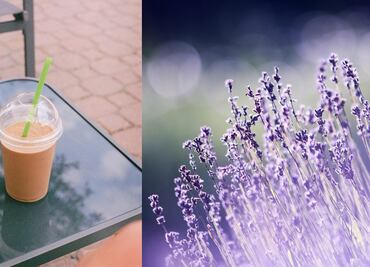 Te contamos cómo pedir el nuevo café con lavanda de esta conocida cafetería