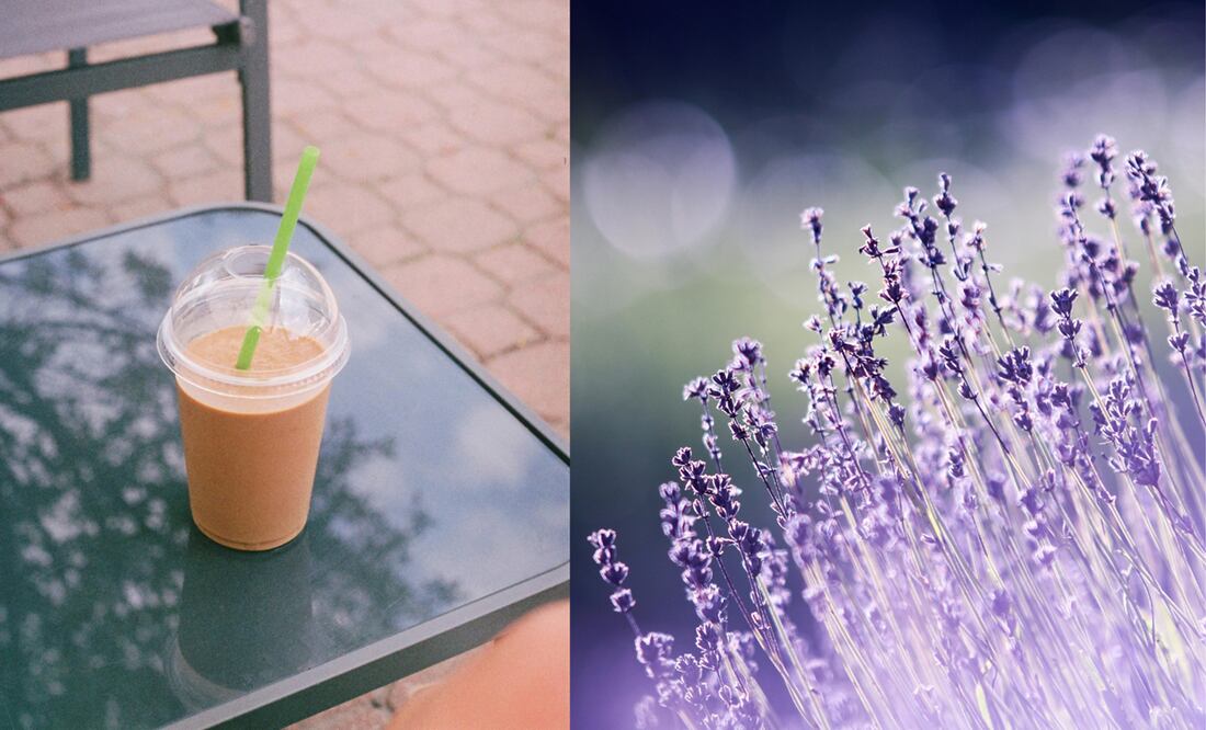 Nuevas bebidas con lavanda en Starbucks. Fotos: Pexels