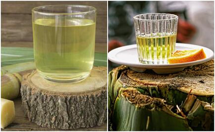 Conoce los destilados mexicanos