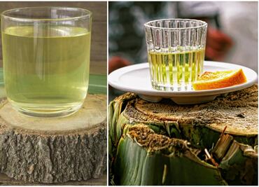 Conoce los destilados mexicanos