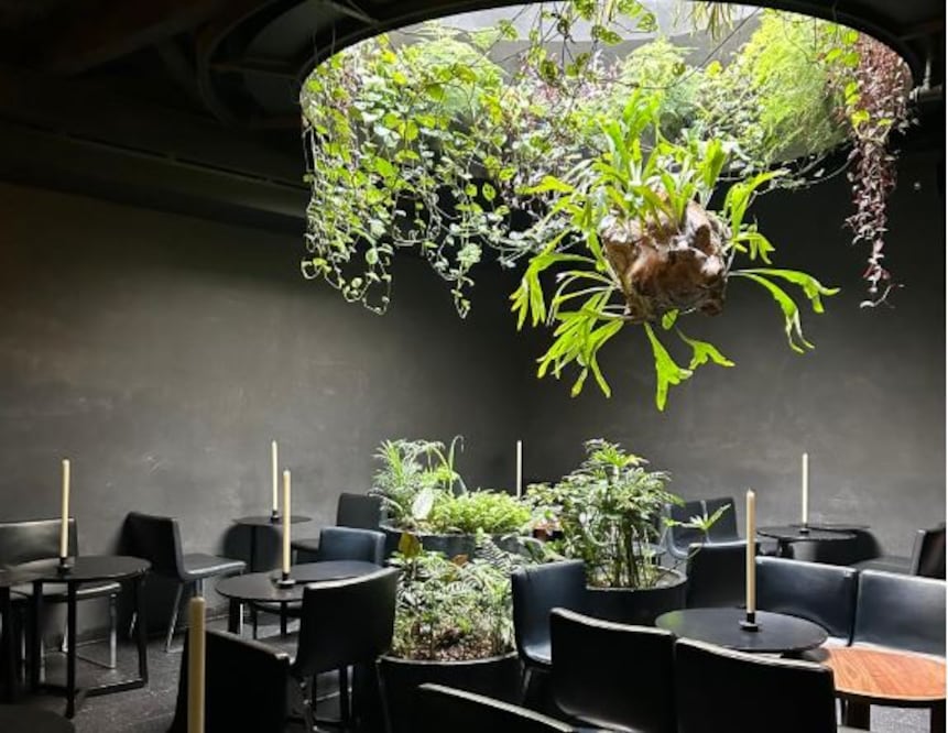 El domo en forma de cenote de Ticuchi. Foto: Sofía Danis/EL UNIVERSAL