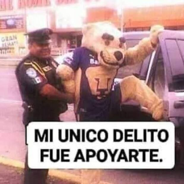 MEMES PUMAS