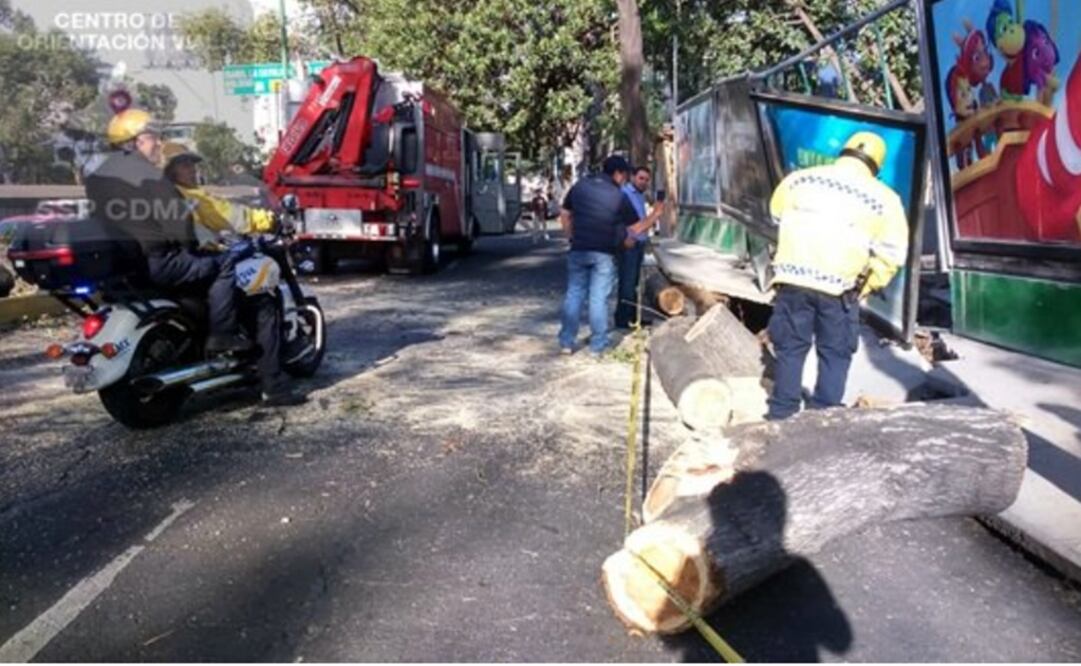 Tomada de @OVIALCDMX