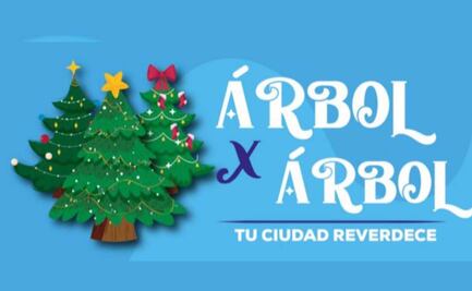 Alcaldía Álvaro Obregón invita a reciclar los árboles de Navidad naturales  