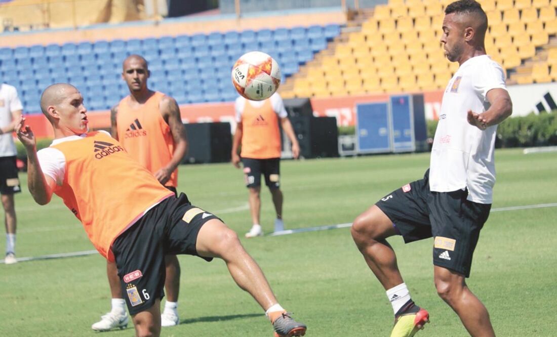 Los felinos son nuevamente candidatos para el título. Foto: TWITTER