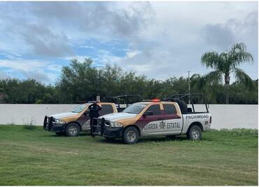 Tamaulipas alerta a EU por tigre siberiano que escapó de zoológico en Reynosa